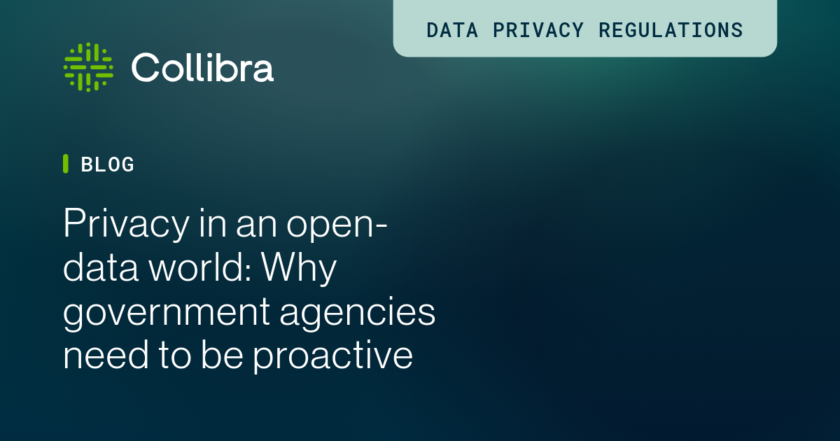 Think Privacy Government Privacy in an open-data world for government agencies | Collibra